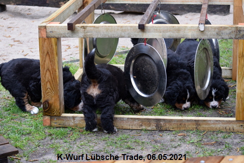 K-Wurf Lbsche Trade, 06.05.2021
