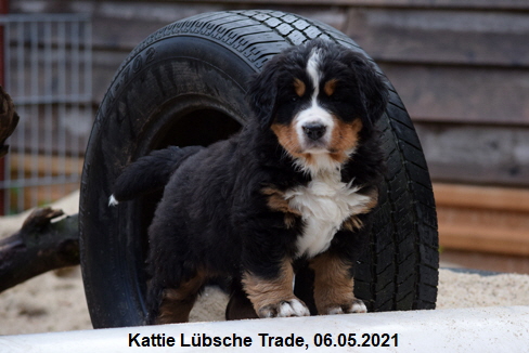 Kattie Lbsche Trade, 06.05.2021