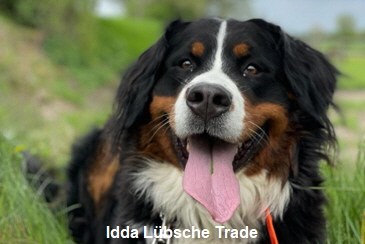 Idda Lbsche Trade