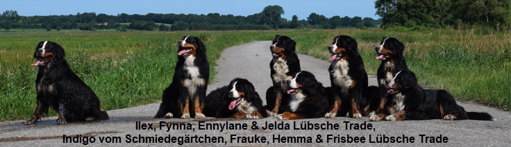 Ilex, Fynna, Ennylane & Jelda Lbsche Trade, Indigo vom Schmiedegrtchen, Frauke, Hemma & Frisbee Lbsche Trade