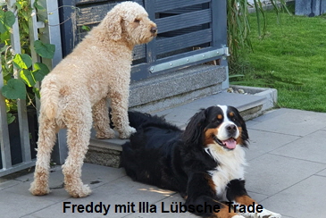 Freddy mit Illa Lübsche Trade
