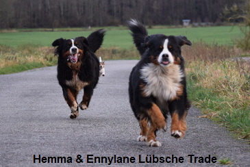 Hemma & Ennylane Lübsche Trade
