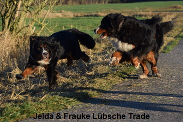Jelda & Frauke Lübsche Trade