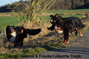 Jelda, Hemma & Frauke Lübsche Trade