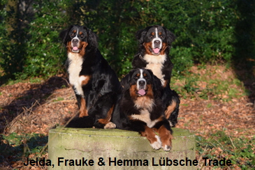 Jelda, Frauke & Hemma Lübsche Trade