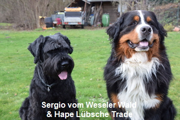 Sergio vom Weseler Wald & Hape Lübsche Trade