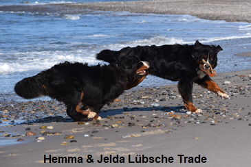 Hemma & Jelda Lübsche Trade
