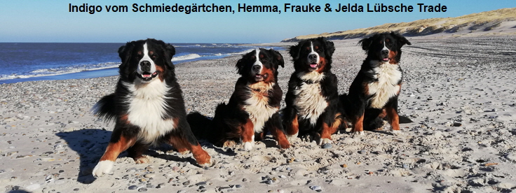 Indigo vom Schmiedegärtchen, Hemma, Frauke & Jelda Lübsche Trade