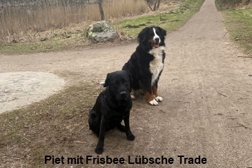 Piet mit Frisbee Lübsche Trade