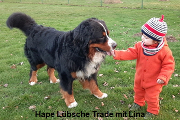 Hape Lübsche Trade mit Lina