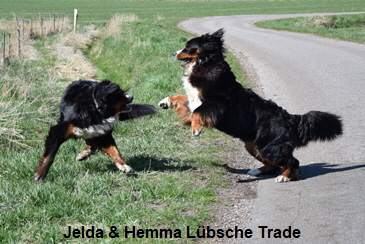 Jelda & Hemma Lübsche Trade