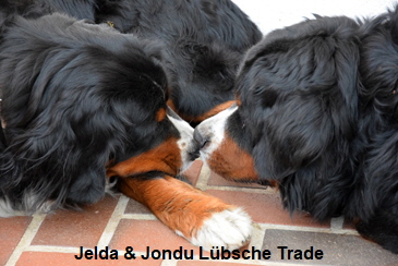 Jelda & Jondu Lübsche Trade