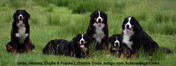 Jelda, Hemma, Elodie & Frauke Lübsche Trade, Indigo vom Schmiedegärtchen