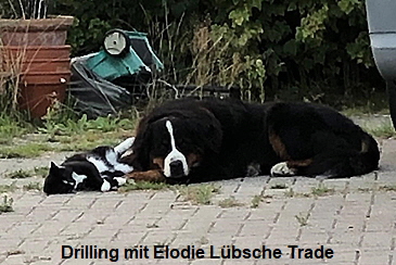 Drilling mit Elodie Lübsche Trade