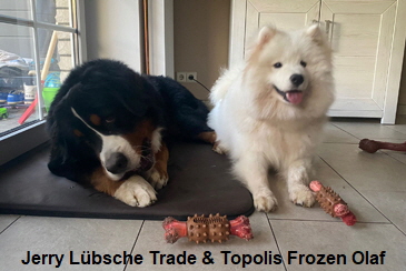 Jerry Lübsche Trade & Topolis Frozen Olaf