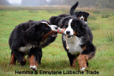 Hemma & Ennylane Lübsche Trade
