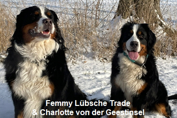 Femmy Lübsche Trade & Charlotte von der Geestinsel