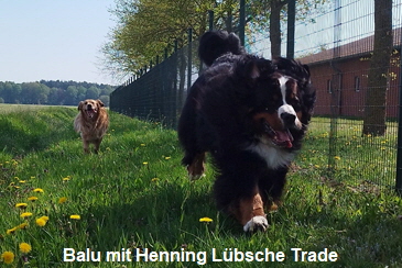 Balu mit Henning Lübsche Trade