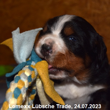 Lomexx Lübsche Trade, 24.07.2023
