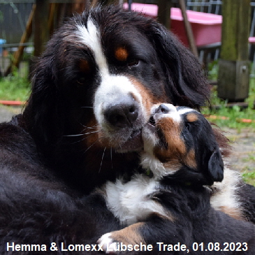Hemma & Lomexx Lübsche Trade, 01.08.2023