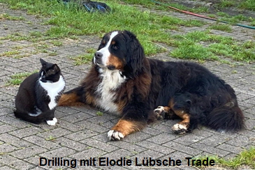 Drilling mit Elodie Lübsche Trade