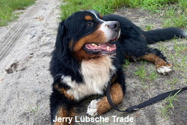 Jerry Lübsche Trade