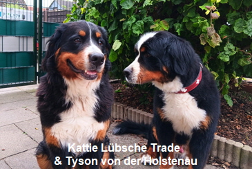 Kattie Lübsche Trade & Tyson von der Holstenau