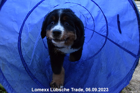 Lomexx Lübsche Trade, 06.09.2023