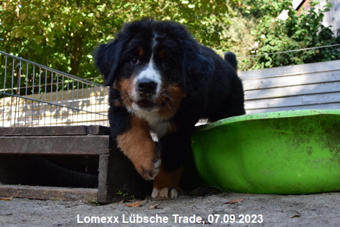 Lomexx Lübsche Trade, 07.09.2023