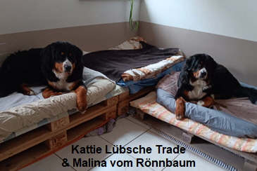 Kattie Lübsche Trade & Malina vom Rönnbaum