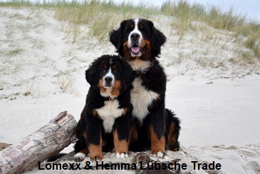 Lomexx & Hemma Lübsche Trade