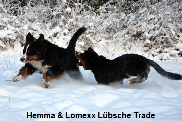 Hemma & Lomexx Lübsche Trade