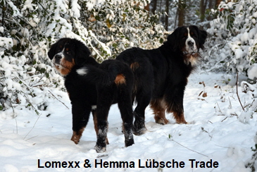 Lomexx & Hemma Lübsche Trade