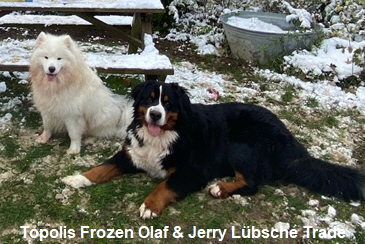 Topolis Frozen Olaf & Jerry Lübsche Trade