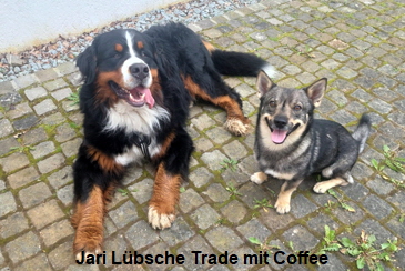 Jari Lbsche Trade mit Coffee