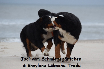 Jaci vom Schmiedegrtchen & Ennylane Lbsche Trade