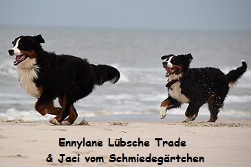 Ennylane Lbsche Trade & Jaci vom Schmiedegrtchen