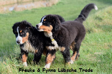 Frauke & Fynna Lbsche Trade