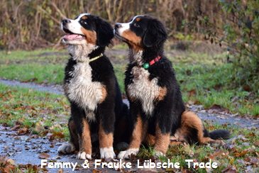 Femmy & Frauke Lbsche Trade