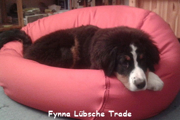 Fynna Lbsche Trade